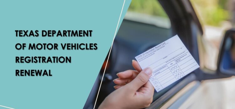 texas department of motor vehicles registration renewal