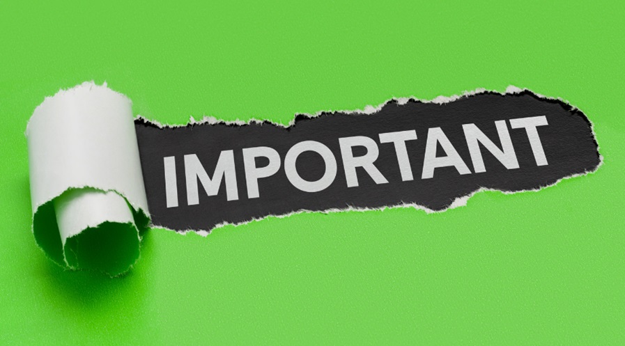 Importance of Professional Tree